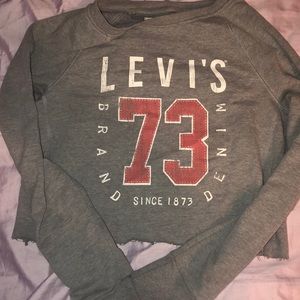 Vintage Levi Crop Top